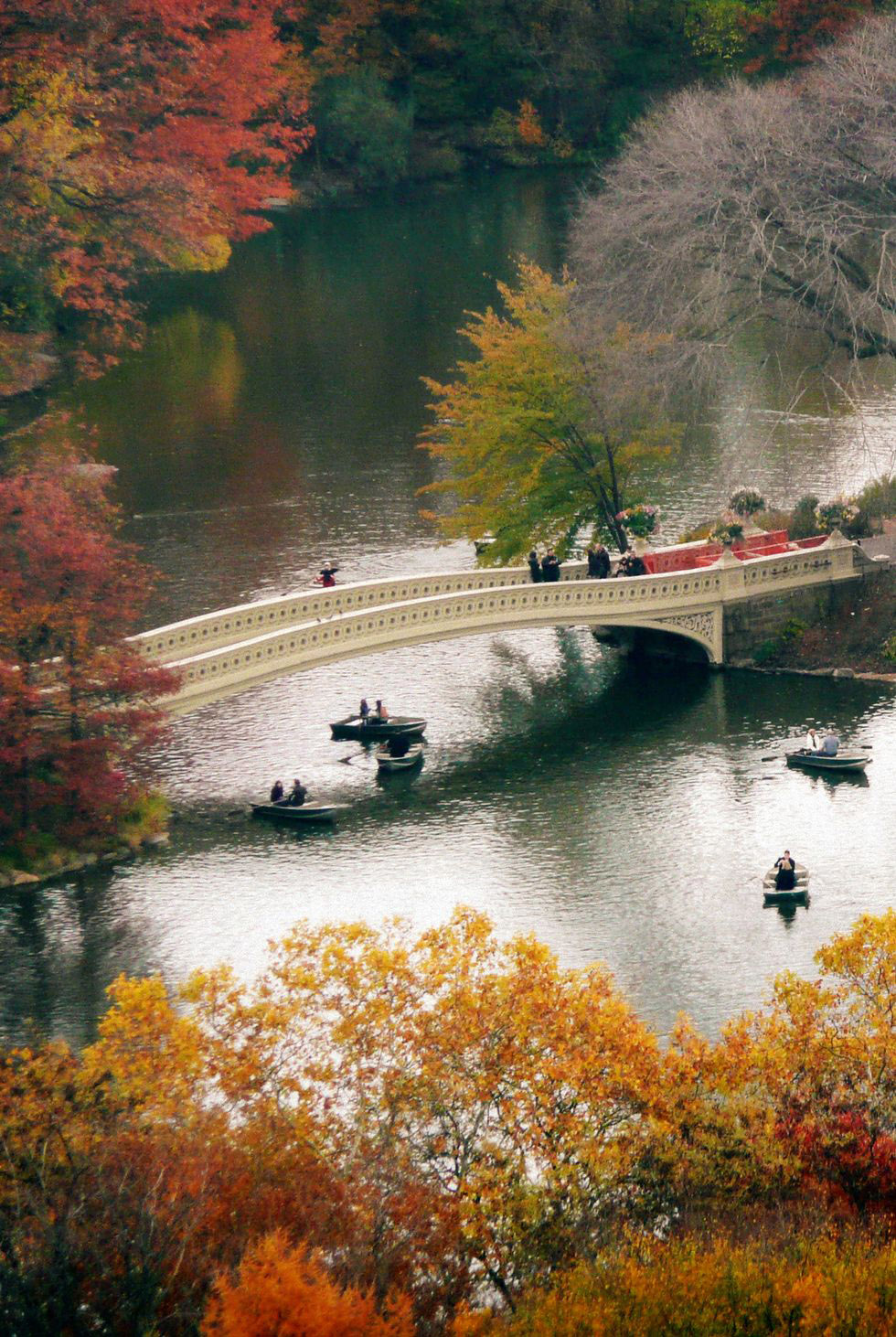 mùa thu ở central park