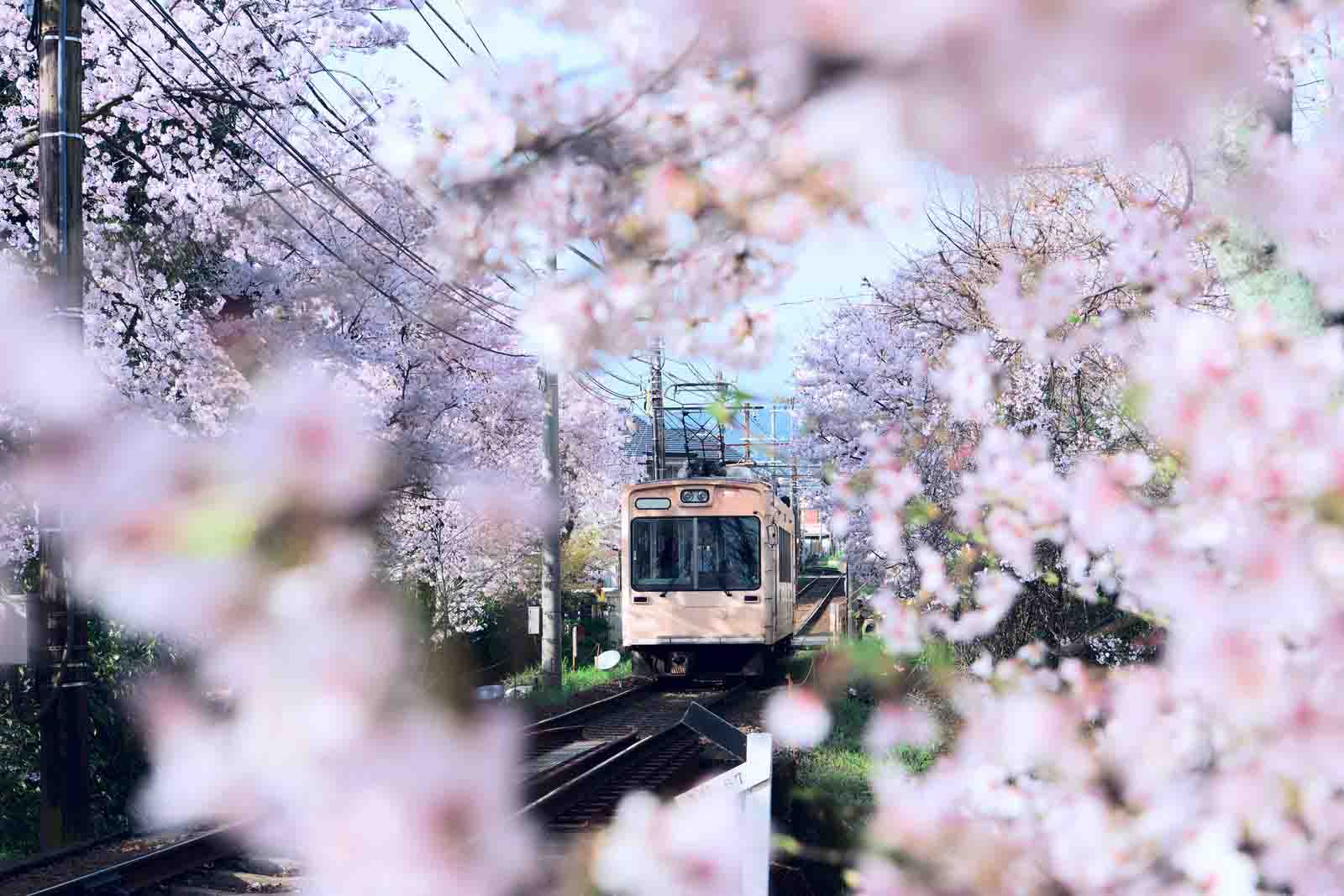 địa điểm kyoto