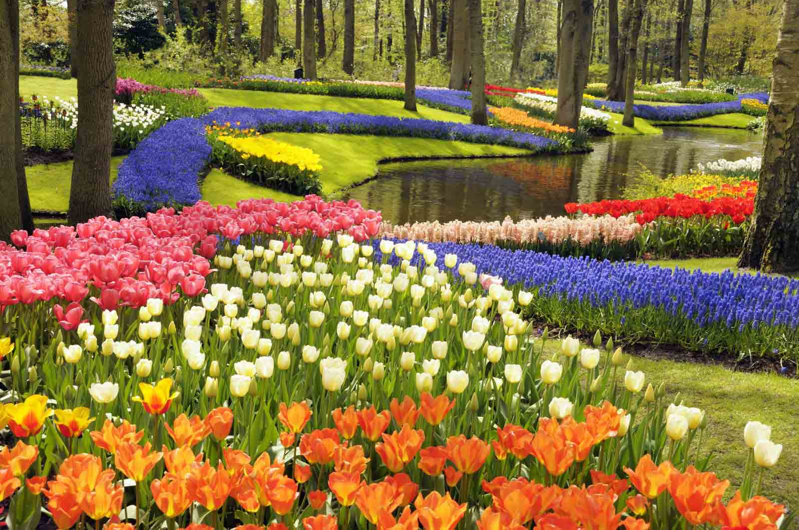 địa điểm vườn keukenhof