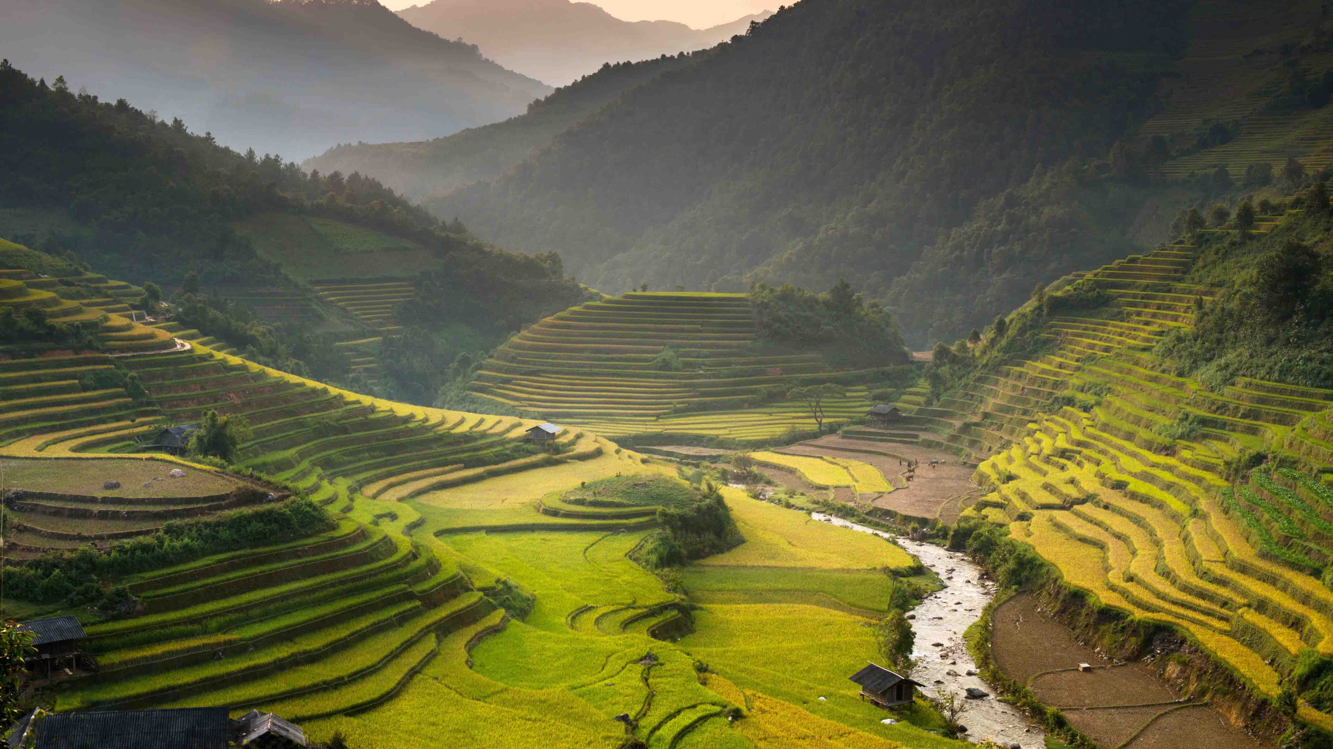 ruộng bậc thang ở sapa việt nam