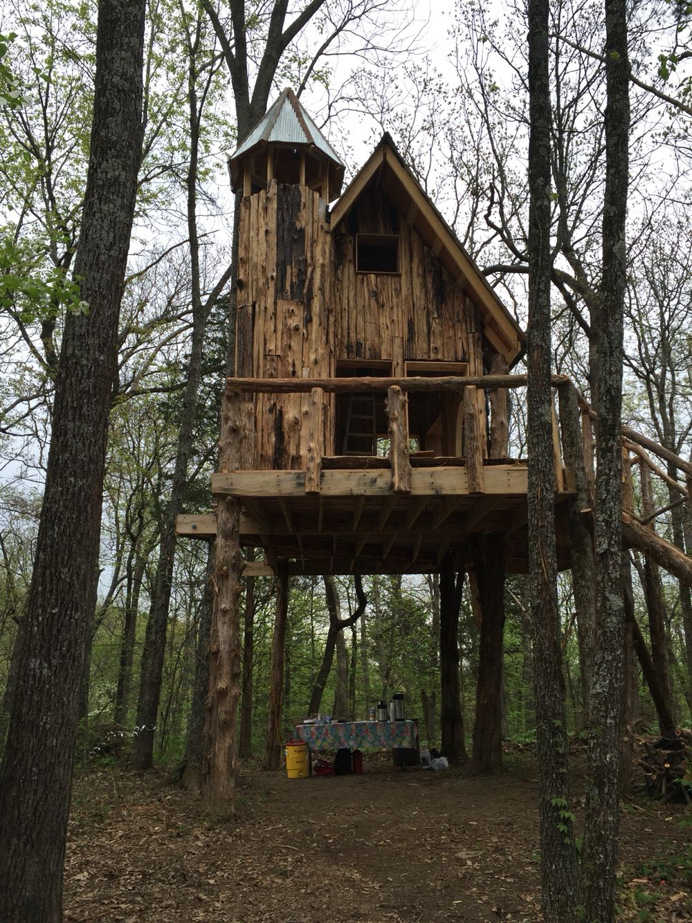 nhà trên cây Wine Country Treehouse