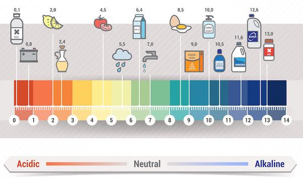 Cân bằng độ pH5.5 cho da – Bí mật của làn da luôn khỏe đẹp