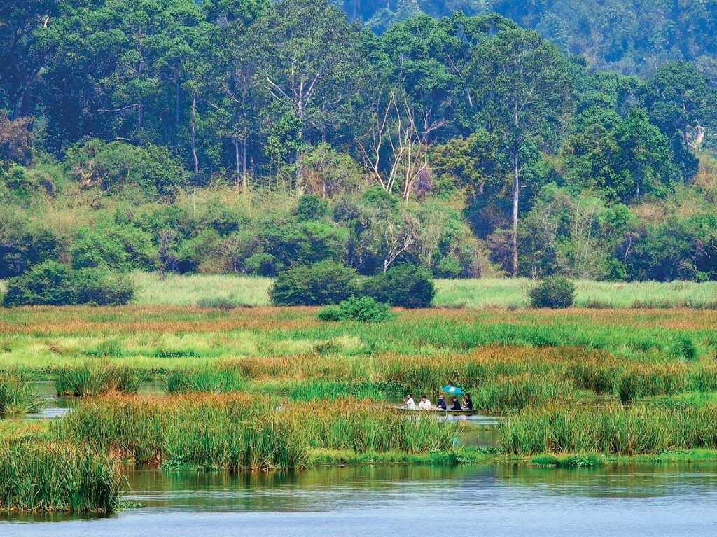 tự nhiên khu vực đầm lầy Bàu Sấu