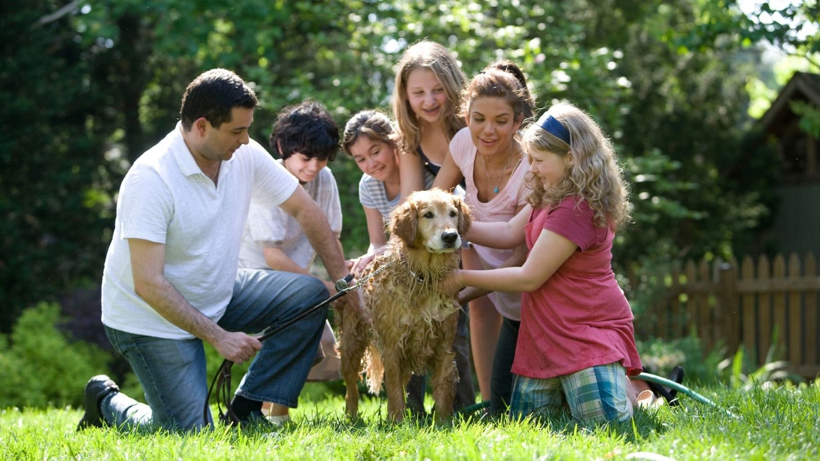 chú chó golden vui chơi cùng gia đình