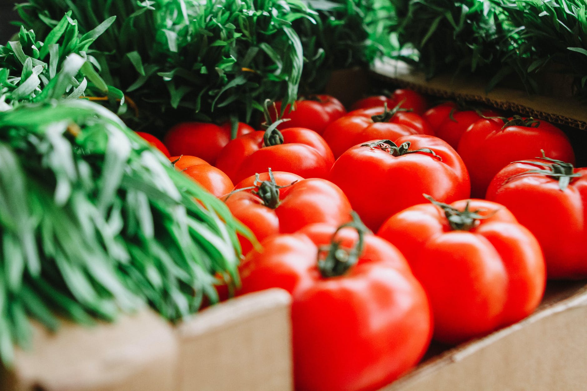 Cà chua là thực phẩm ngăn ngừa lão hóa