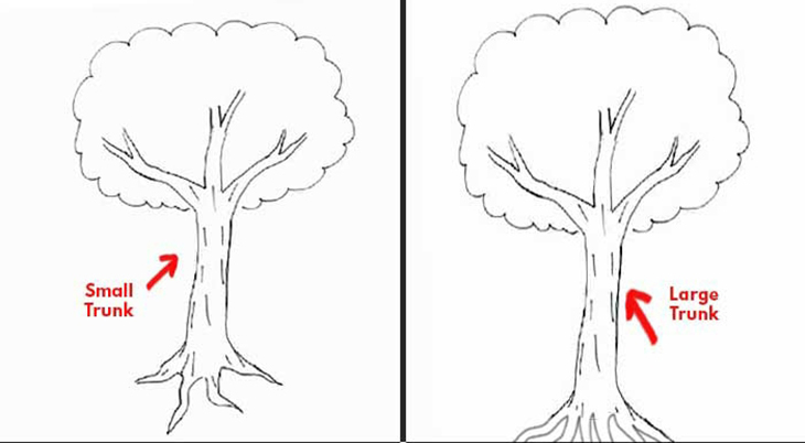Cách vẽ cây tiết lộ cảm xúc: Hãy khám phá cách vẽ cây để thể hiện cảm xúc của bạn đến người khác. Hình ảnh sẽ giúp bạn truyền tải sự đam mê, tình yêu, sự ấm áp hay một cảm xúc trầm lắng. Chỉ với vài cách vẽ đơn giản, bạn có thể thể hiện được một thế giới cảm xúc đầy màu sắc.