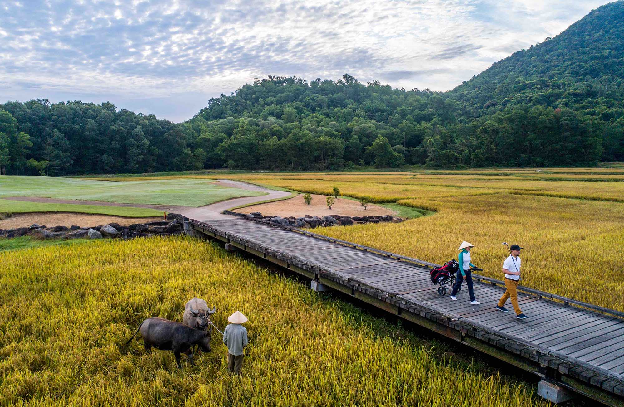 Du lịch bền vững Banyan Tree Lăng Cô