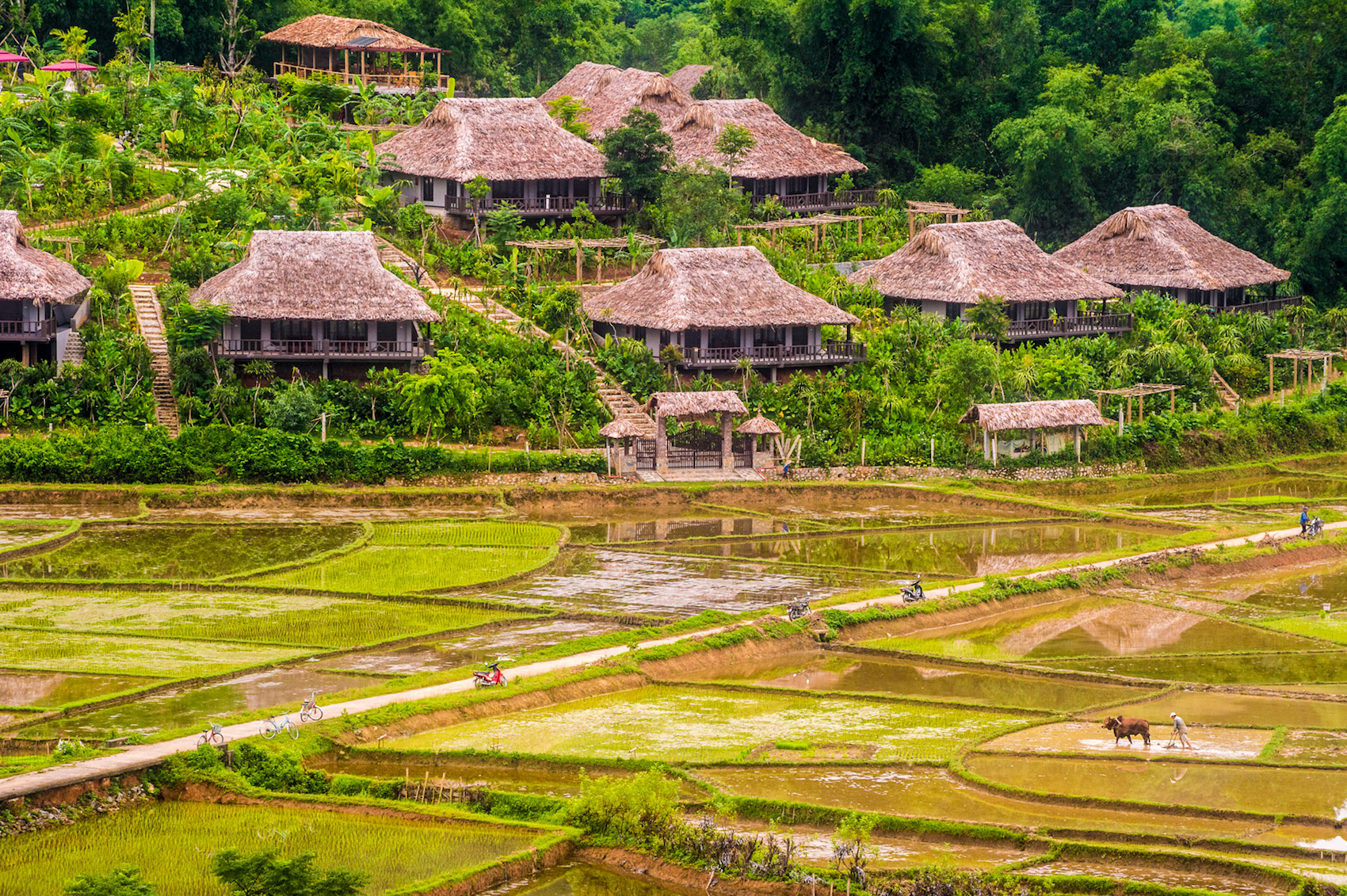 nghỉ dưỡng Mai Châu Ecolodge