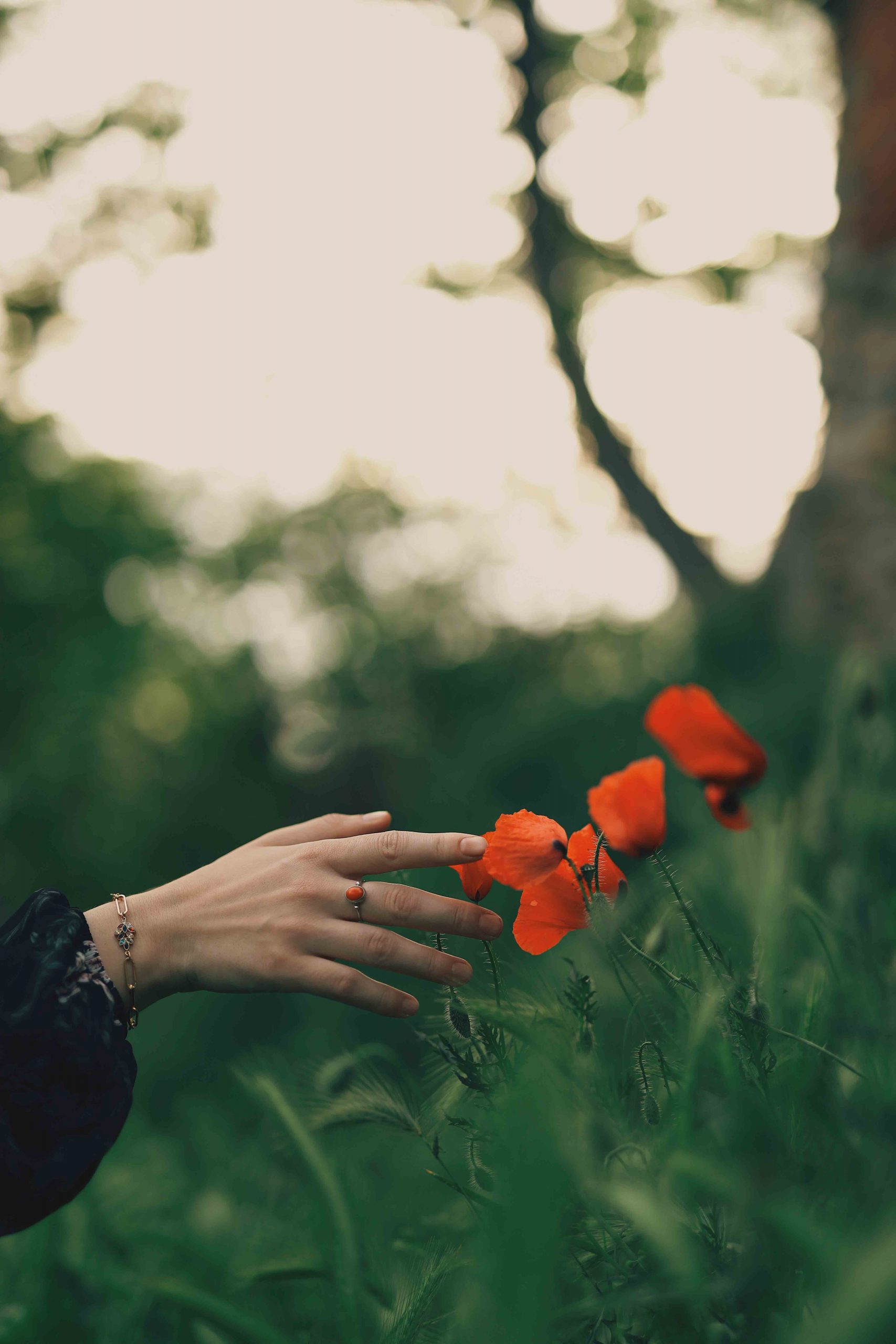 hand touching red flowers and angel numbers