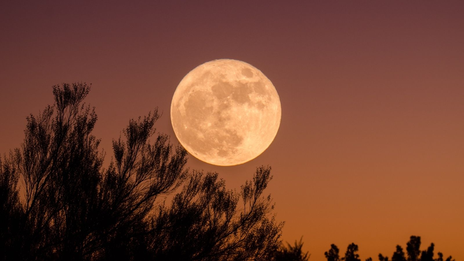 Mặt trăng ảnh hưởng đến tâm trạng của bạn như thế nào? | ELLE