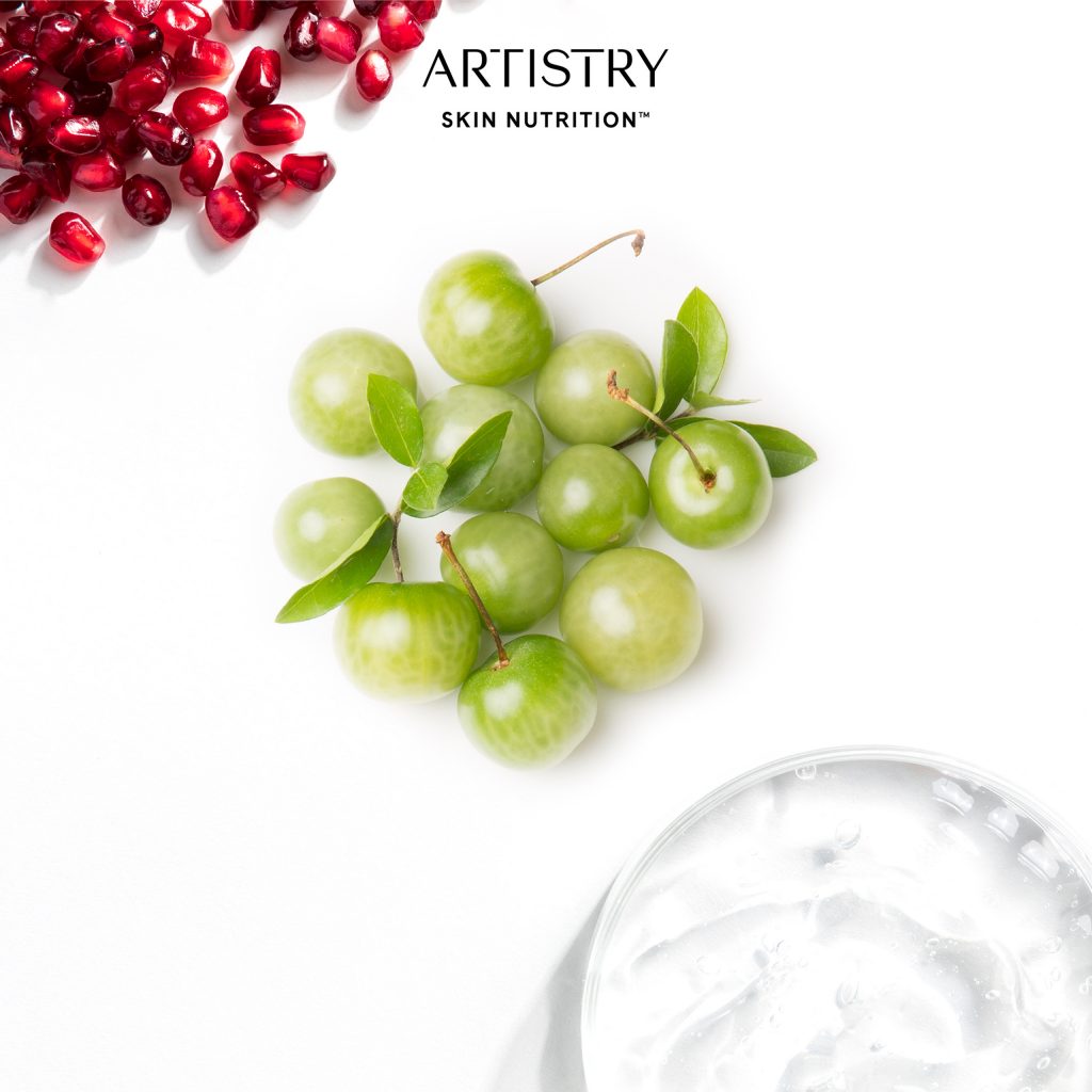 Artistry Skin NutritionTM là kết tinh từ dưỡng chất thực vật tinh khiết và tinh hoa từ khoa học làn da