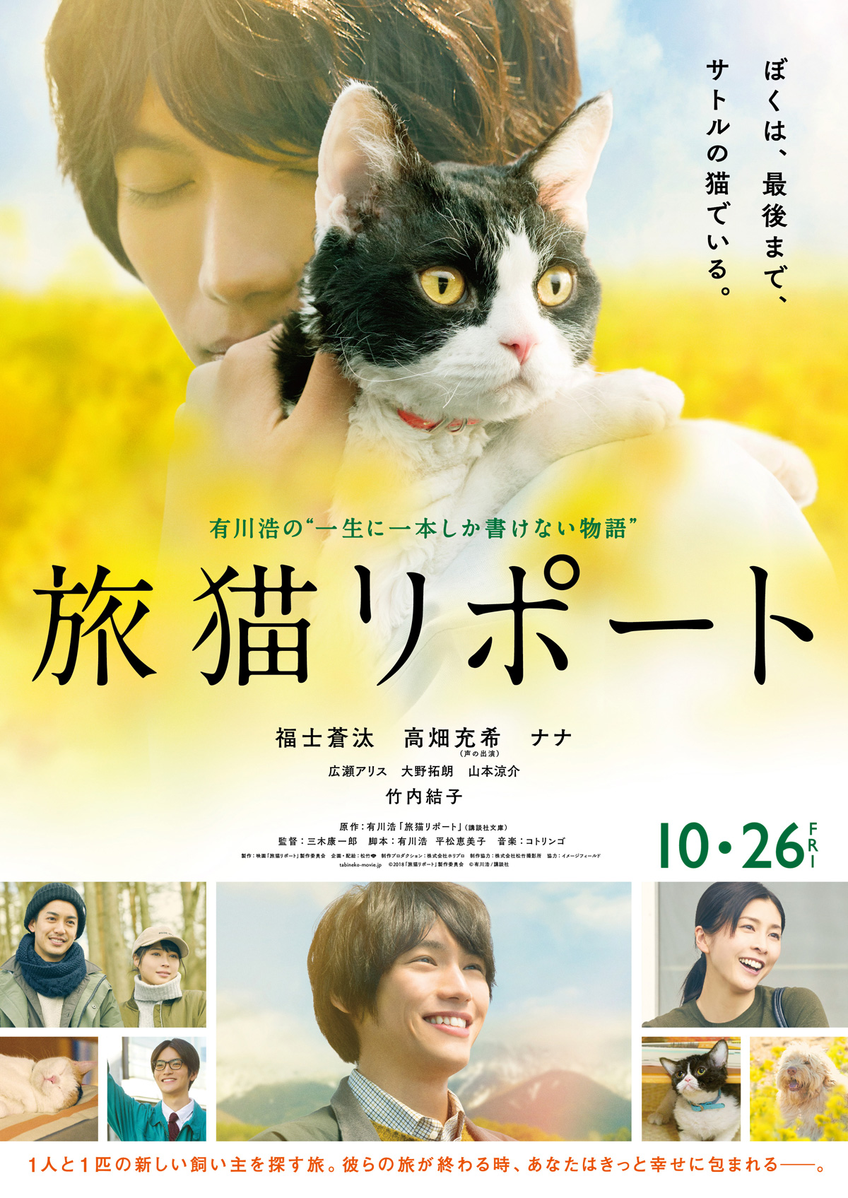 phim nhật cho hội cuồng mèo the travelling cat chronicles