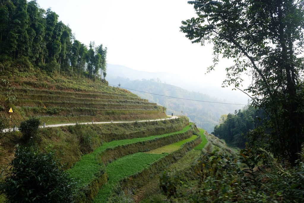 Hoàng Su Phì thửa ruộng