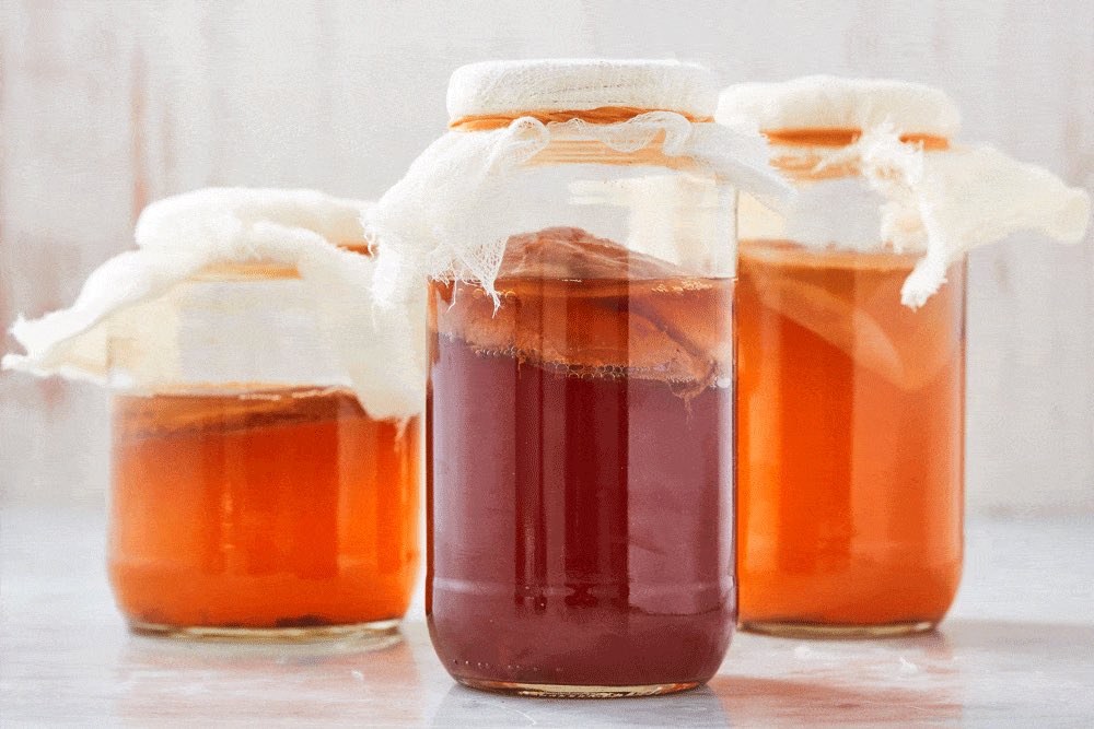 Công thức pha Kombucha ngon miệng