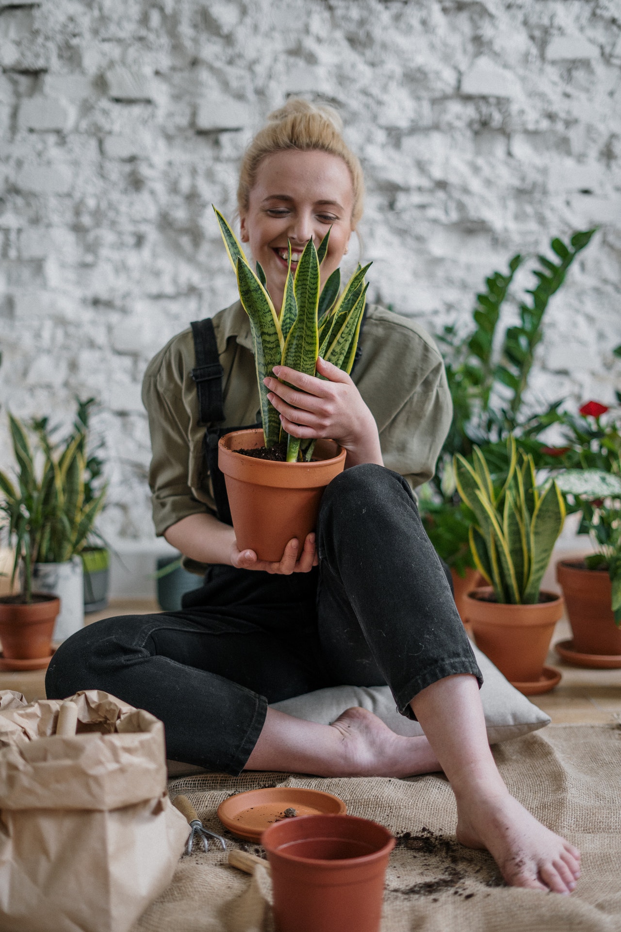 Planting trees improves concentration