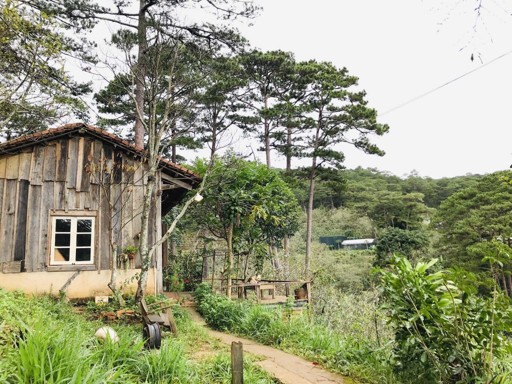 Đà Lạt căn nhà homestay