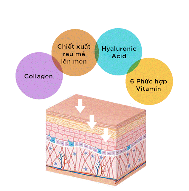 Artistry đẩy lùi tình trạng lão hóa