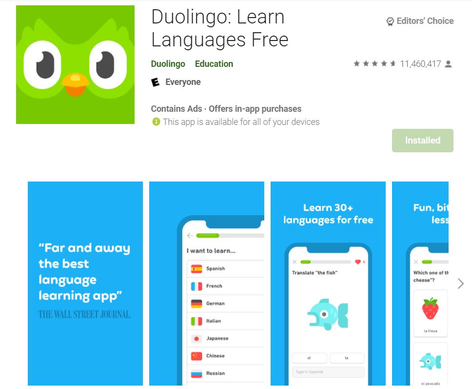 ứng dụng duolingo