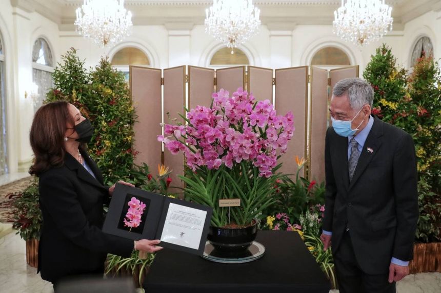 , Phong cách thời trang của Phó tổng thống Mỹ gốc Á đầu tiên Kamala Harris