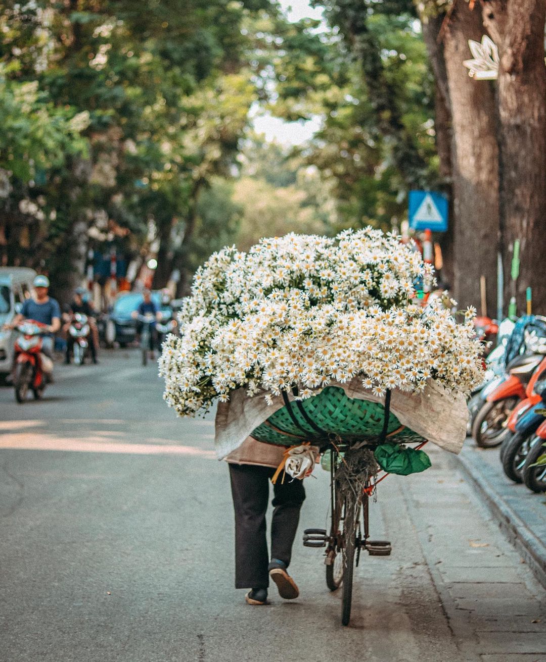 du lịch hà nội