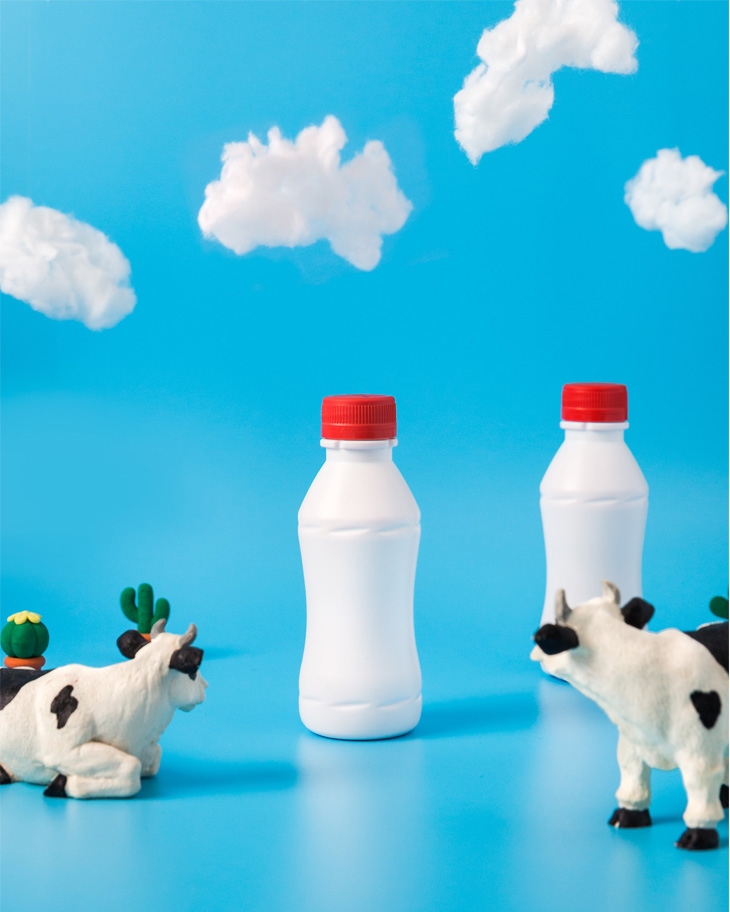 Sữa bò chứa lượng calo cao hơn sữa đậu nành