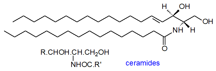 Ceramide là thành phần giúp cải thiện hàng rào bảo vệ da, phục hồi tổn thương và giúp da tránh tình trạng thất thoát độ ẩm.