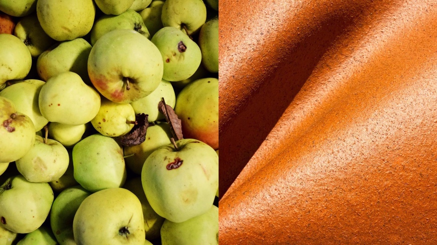 chất liệu da từ vỏ và lõi táo