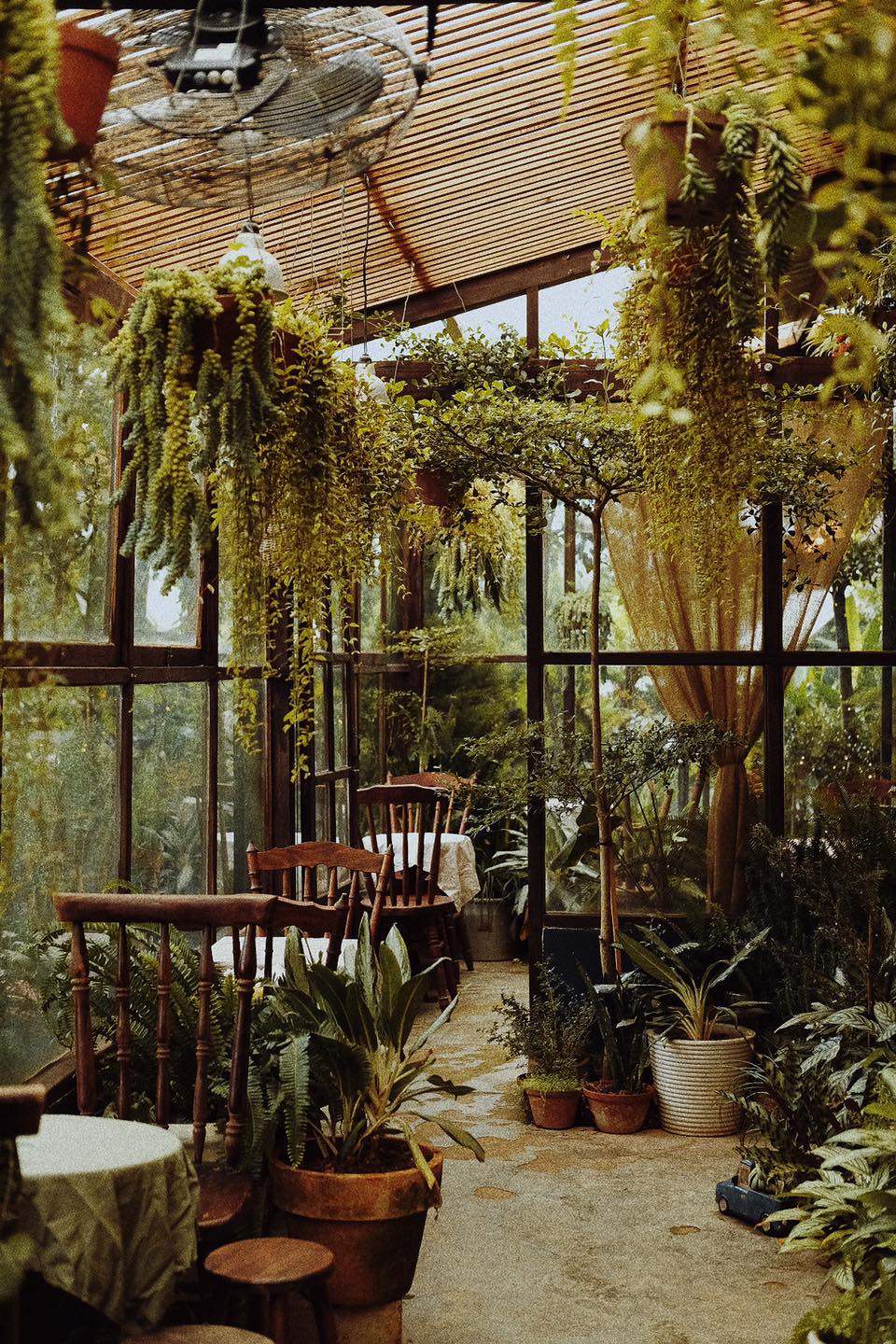 quán cà phê khu vườn mùa hè ở đà lạt