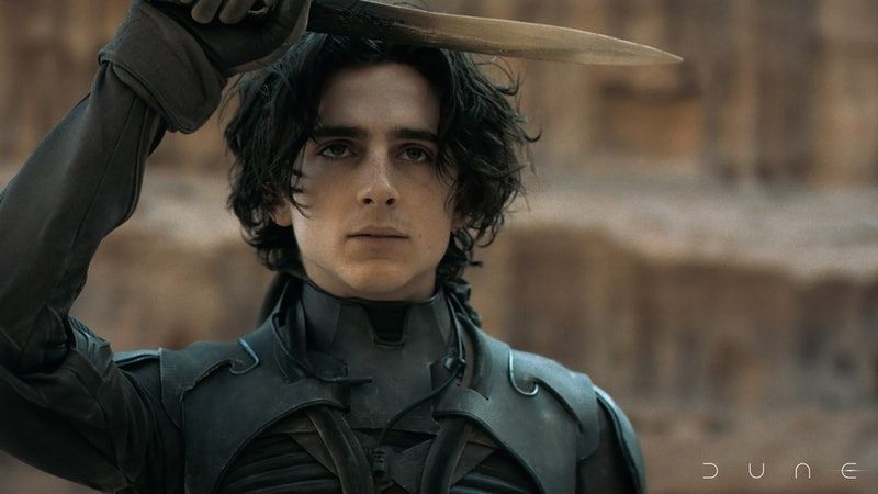 10 sự thật thú vị bạn chưa biết về &quot;chàng thơ&quot; Timothée Chalamet | ELLE