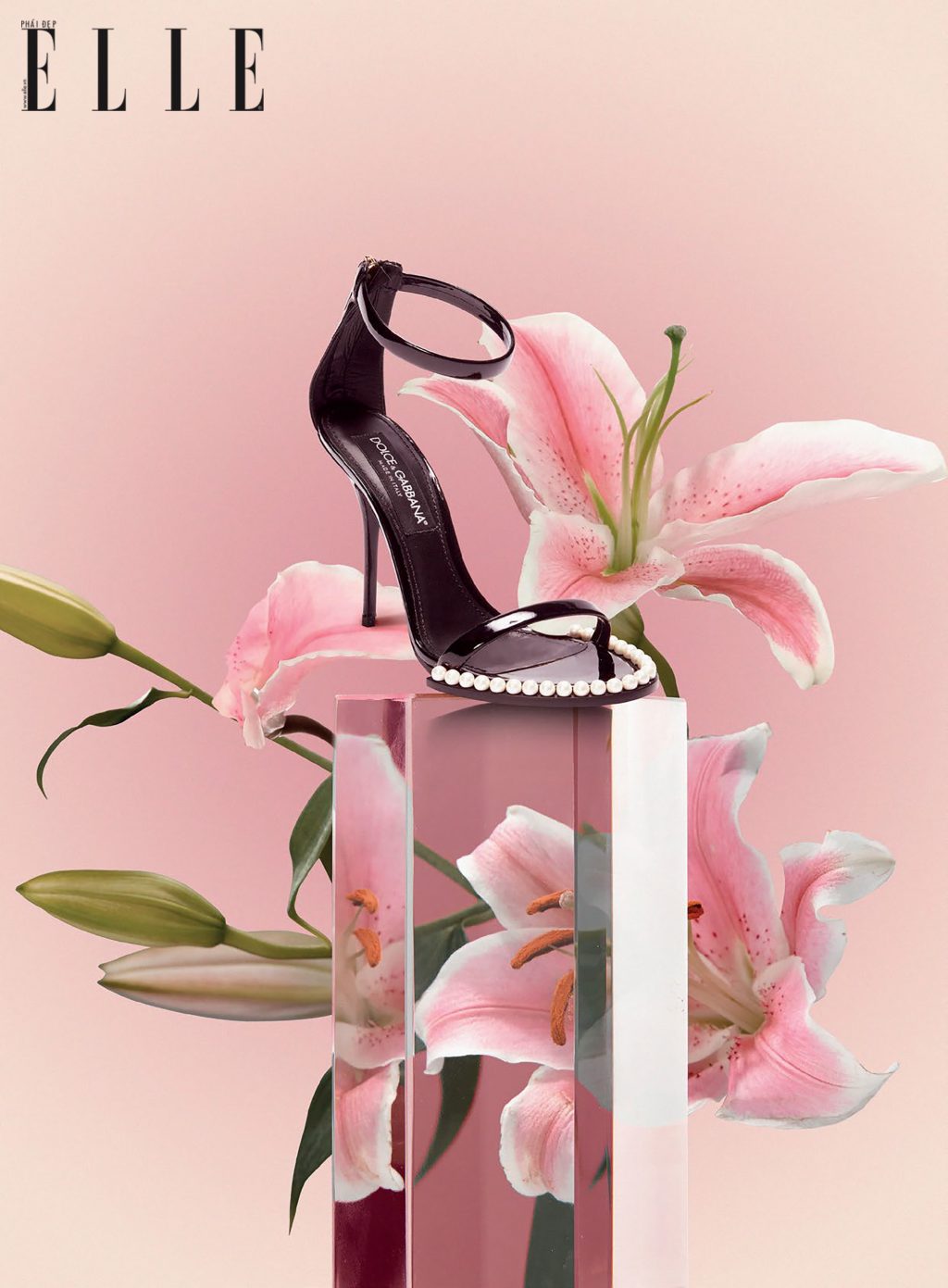 phụ kiện giày sandals của Dolce Gabbana