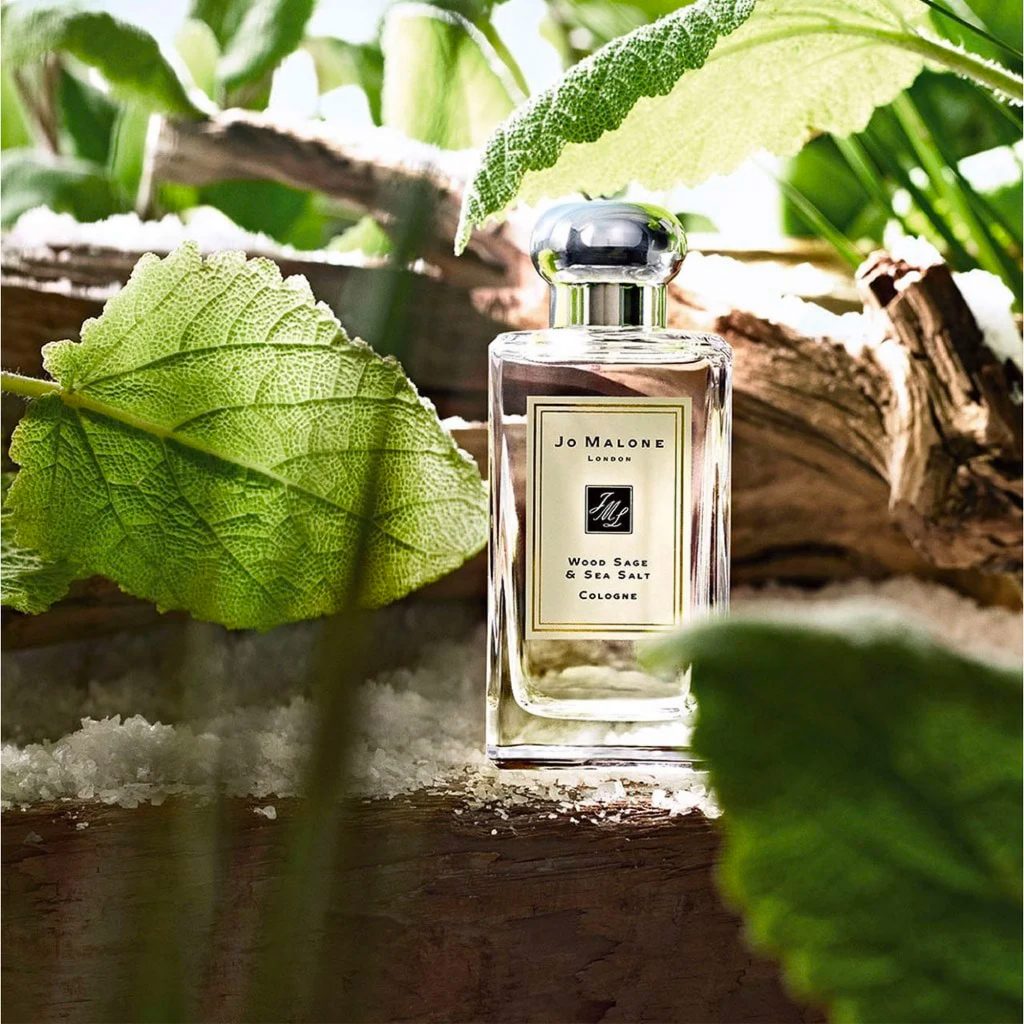 mùi hướng Jo Malone Wood Sage