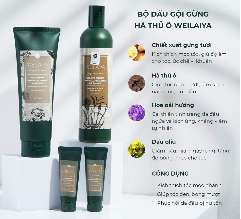 Dầu gội gừng ngăn rụng & kích mọc tóc Weilaiya