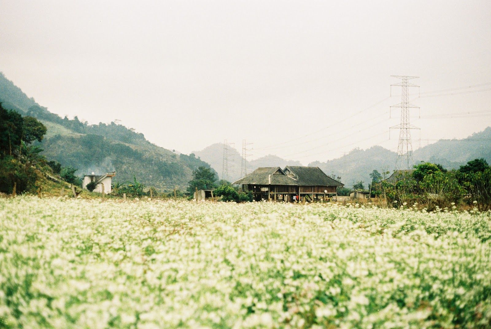 du lịch Mộc Châu