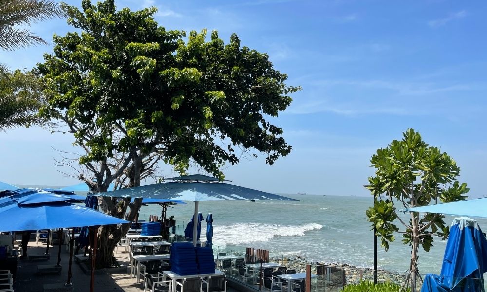 Tìm cảm hứng cho chuyến du lịch năm 2022 theo đặc điểm tính cách 12 con giáp con giap du lich bien vung tau 1000x600 1 - Tìm cảm hứng cho chuyến du lịch năm 2022 theo đặc điểm tính cách 12 con giáp