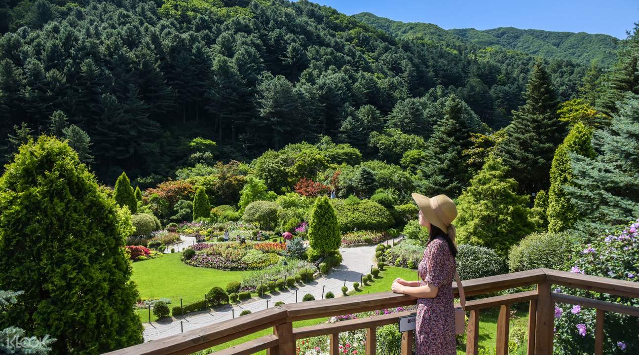 garden of morning calm