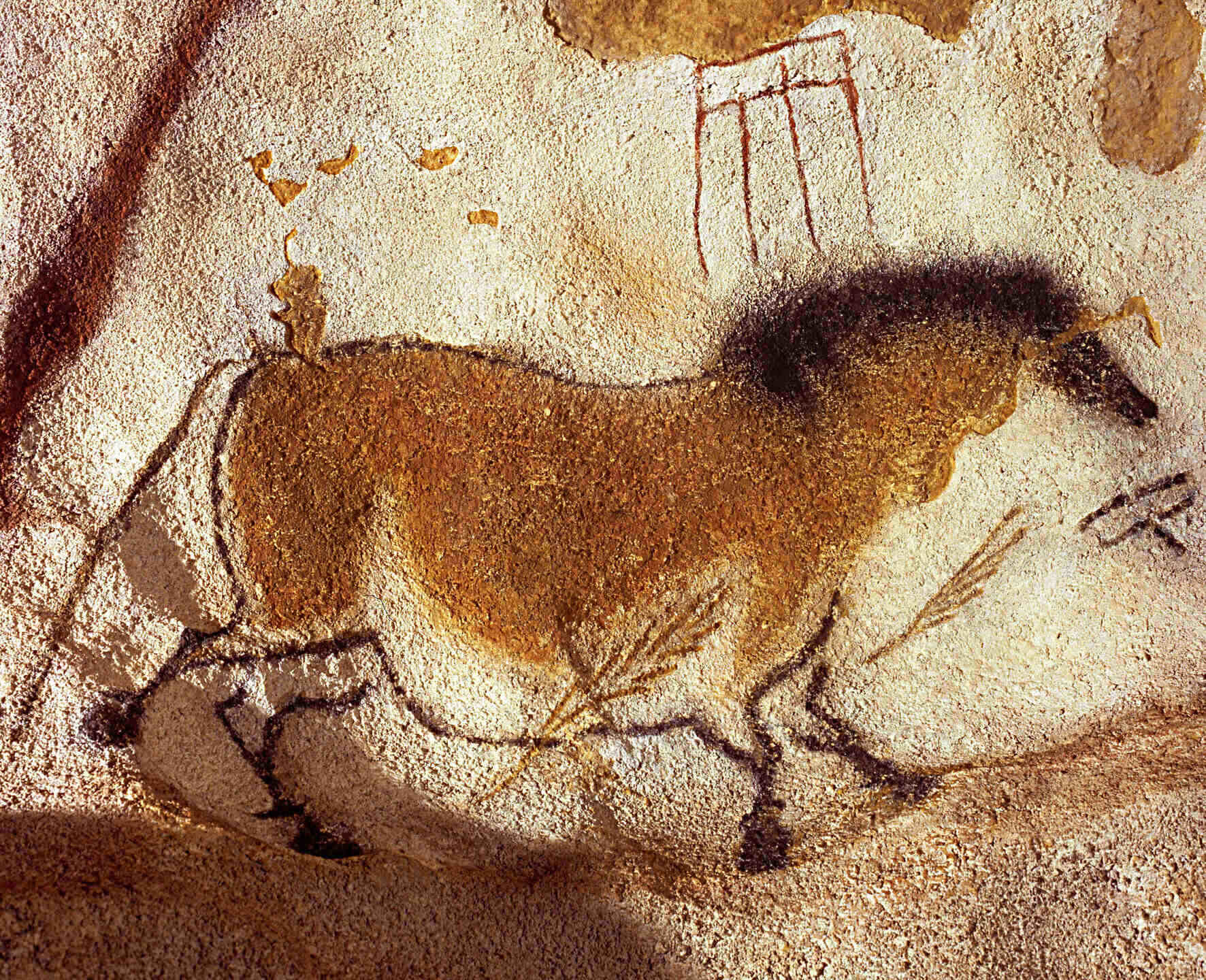 con ngựa hang lascaux