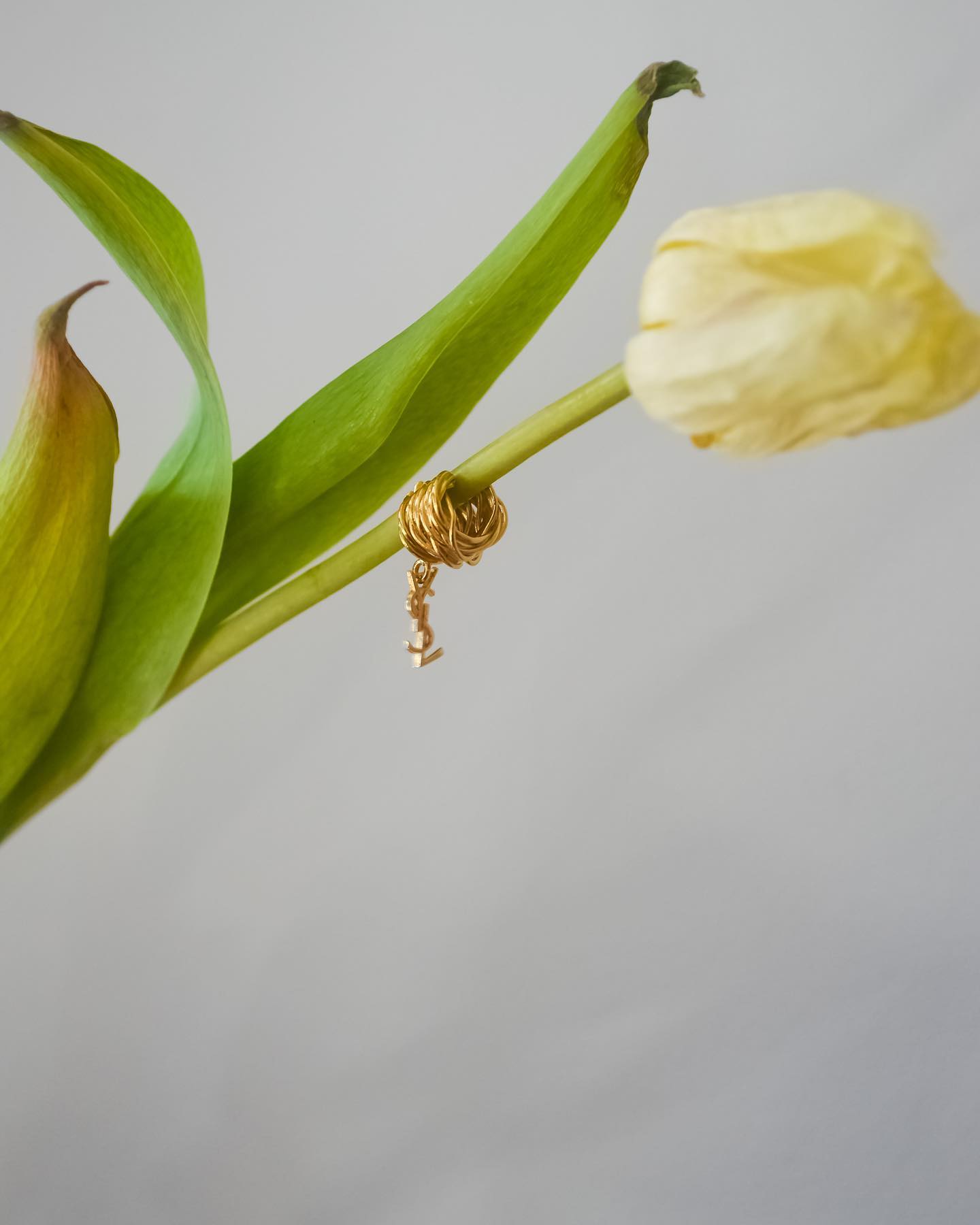 ear cuff ysl