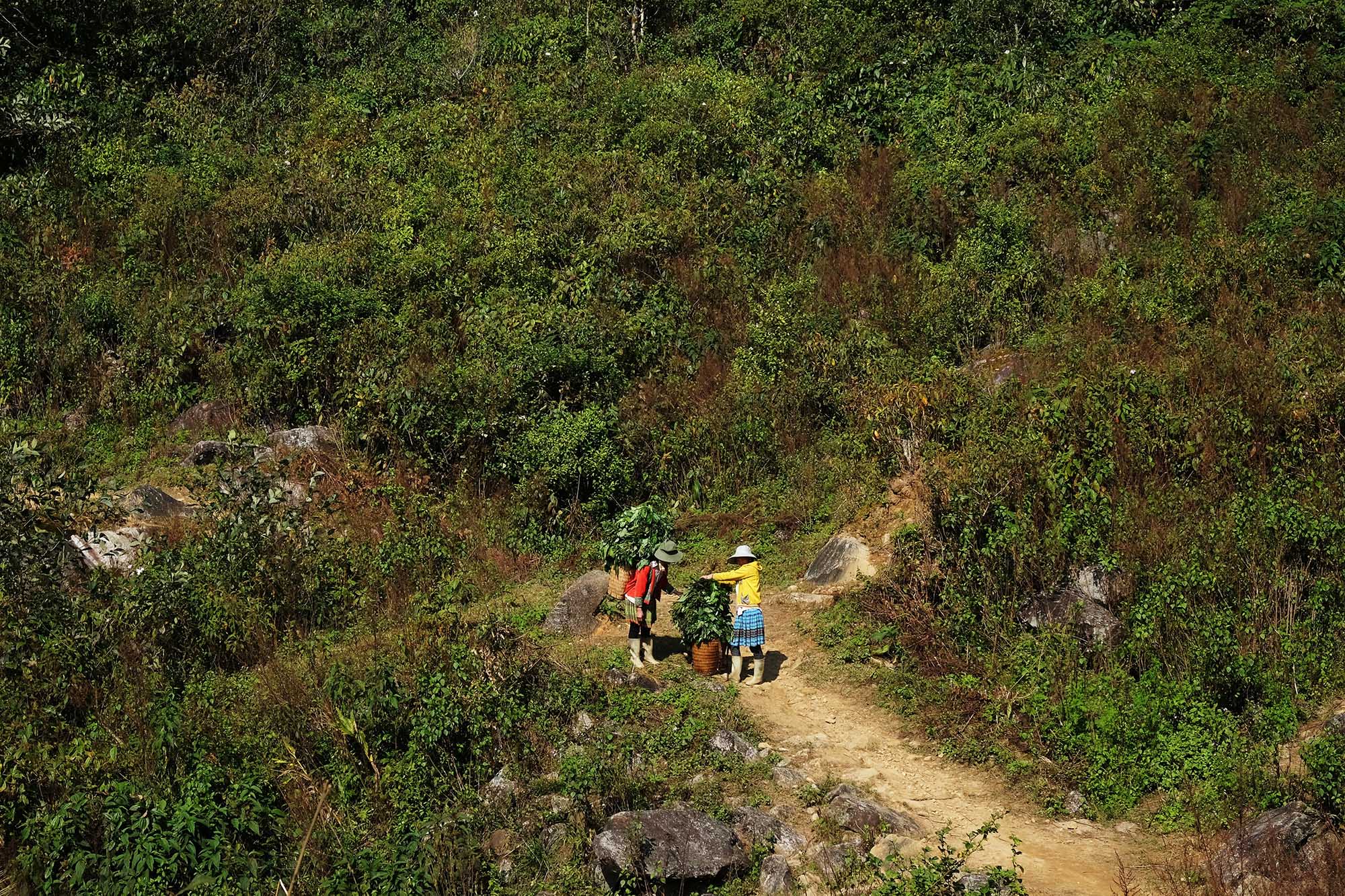 dinh nui nhung em gai Hmong - Xuyên rừng chinh phục đỉnh Sừng Trâu