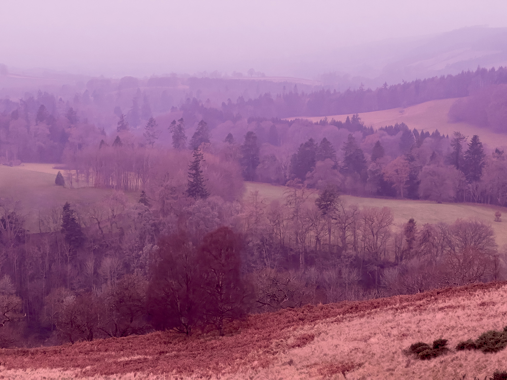 thung lũng ở Scotland màu sắc trong BST của CHANEL