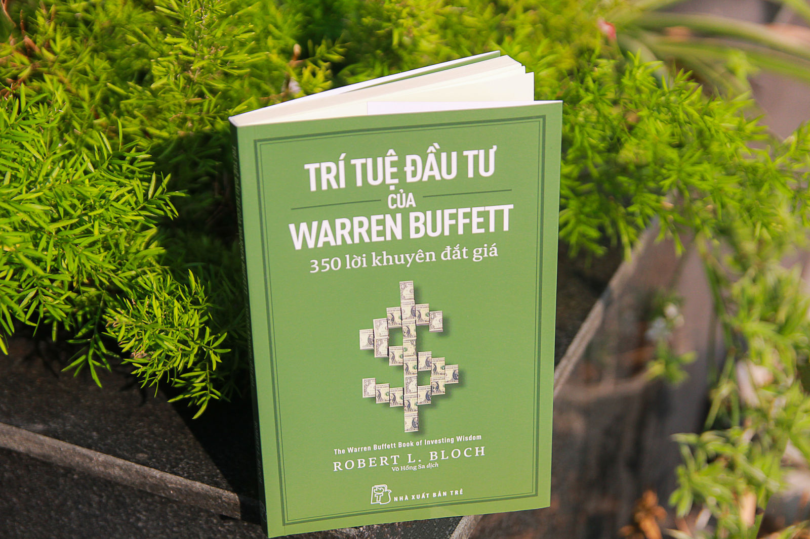 tháng ba trí tuệ đầu tư