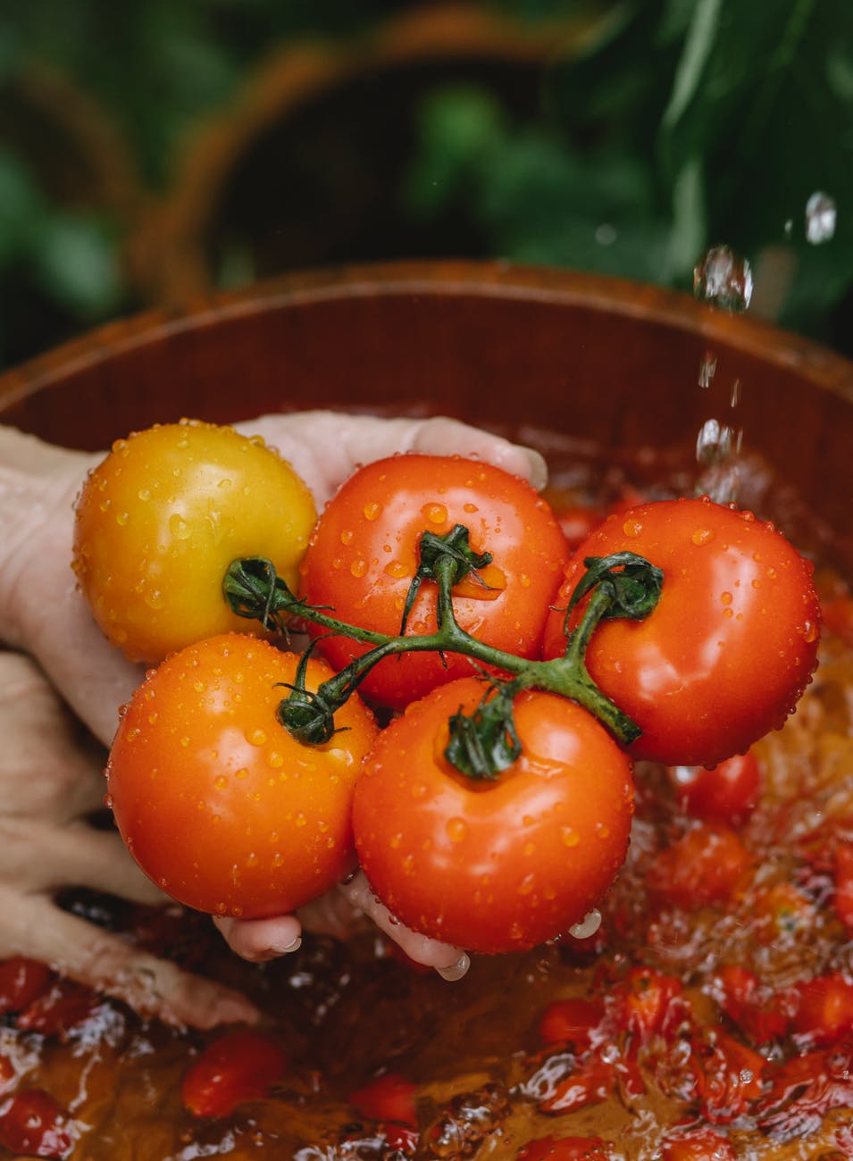siêu thực phẩm cà chua