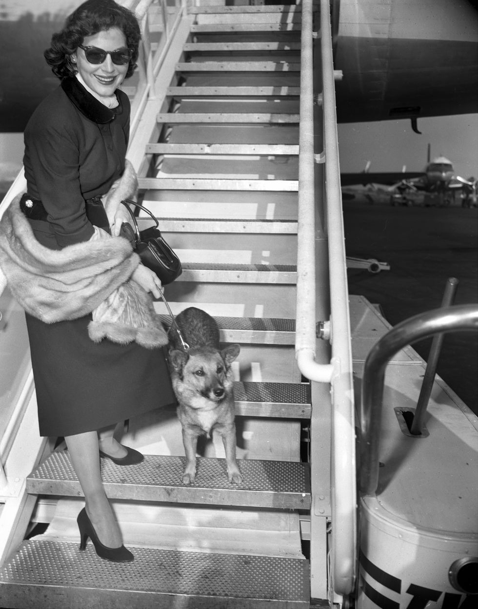 Ava Gardner trong chuyến đi đến Palm Springs năm 1954