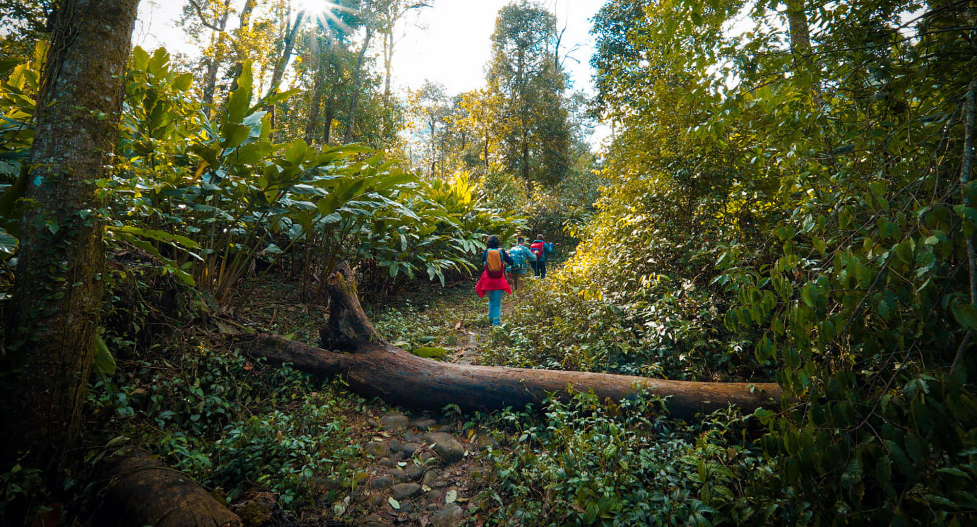 địa điêm cung đường trekking