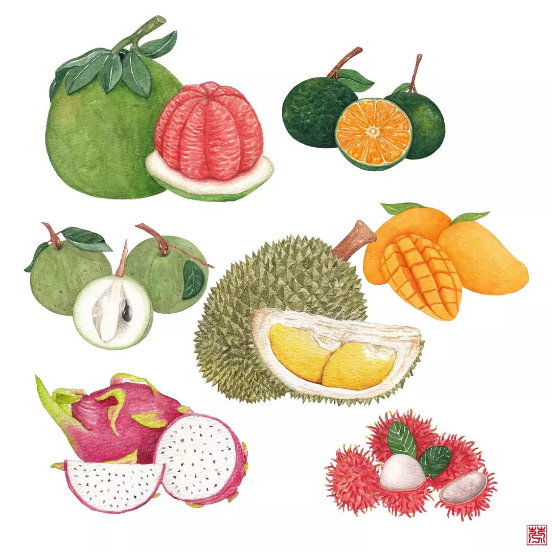 digital painting trái cây