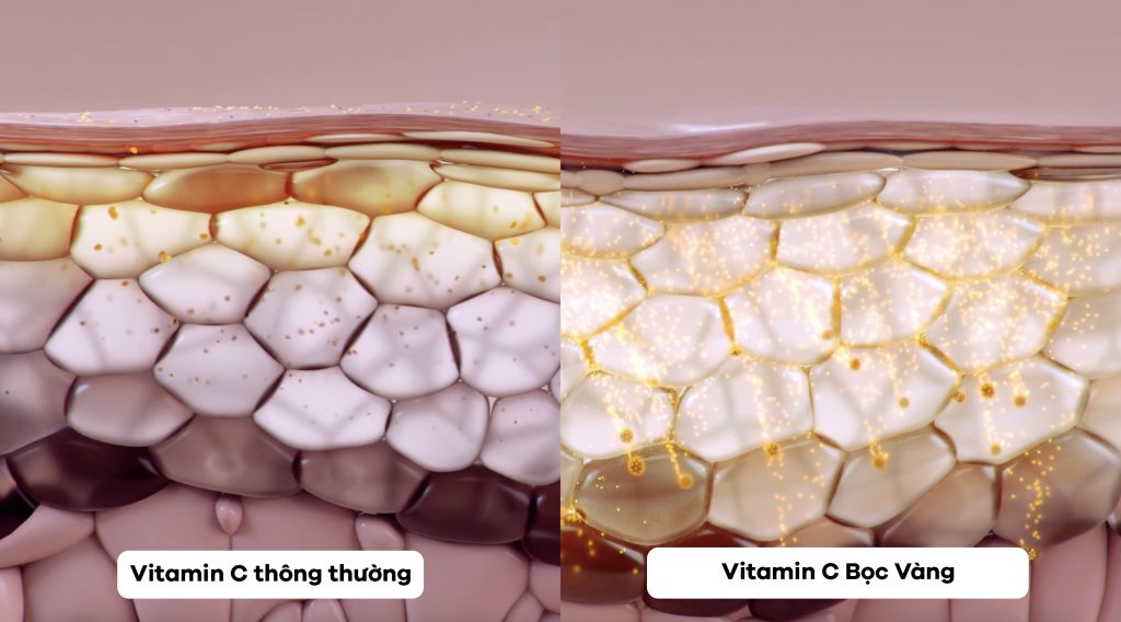 công nghệ vitamin C tinh khiết bọc vàng