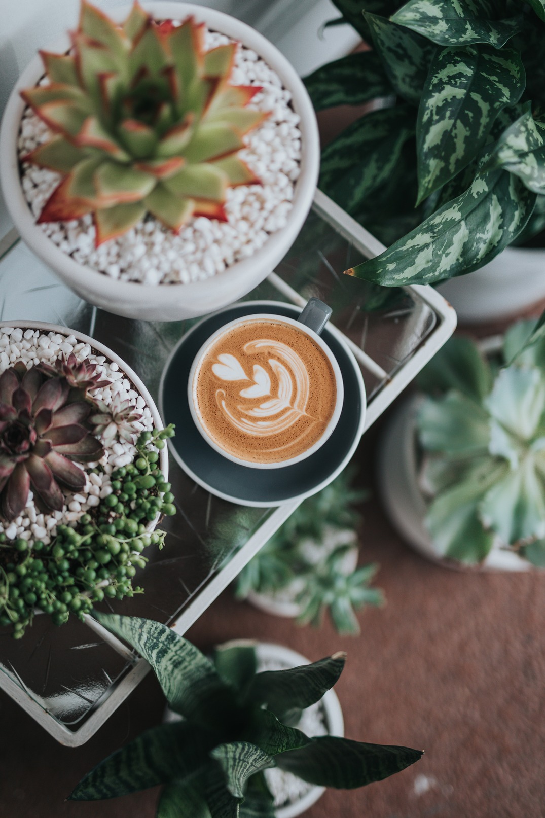 trắc nghiệm cappuccino