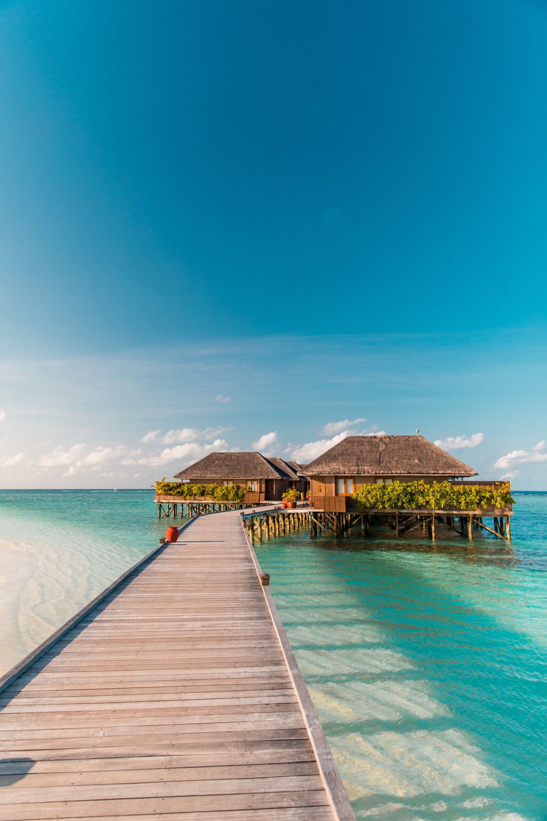 cung hoàng đạo maldives