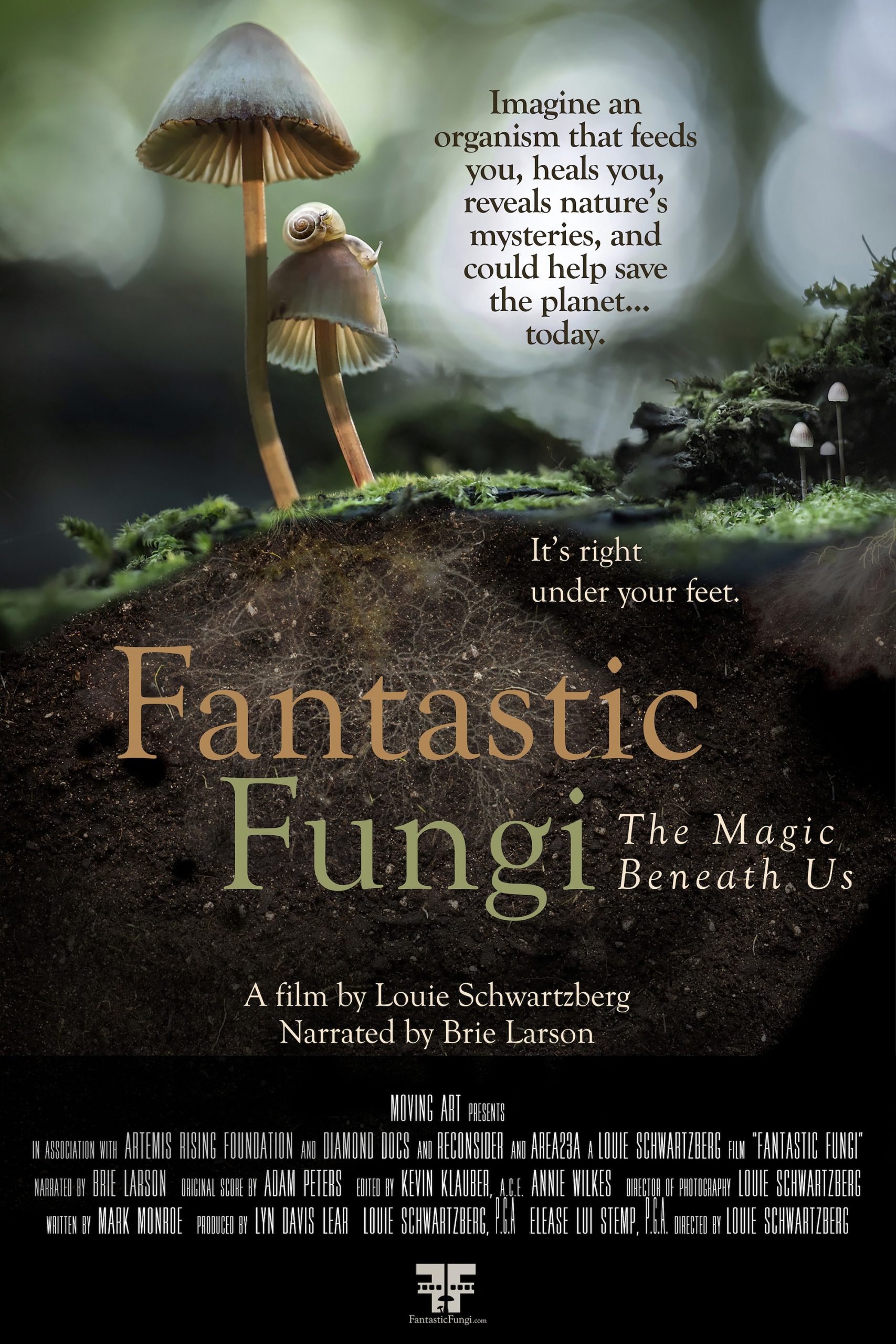 phim tài liệu Fantastic Fungi