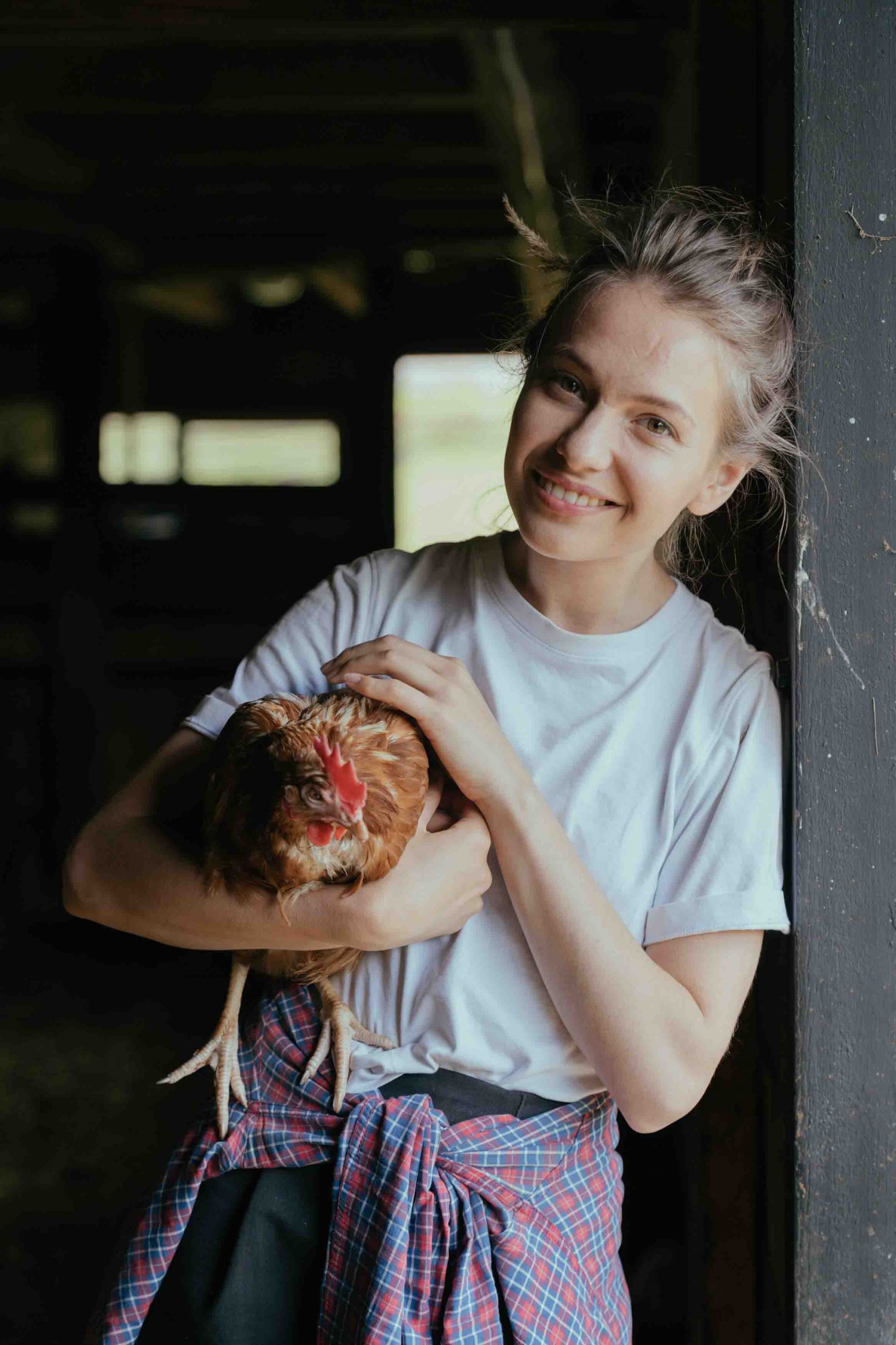 cô gái sống bán nông ôm con gà