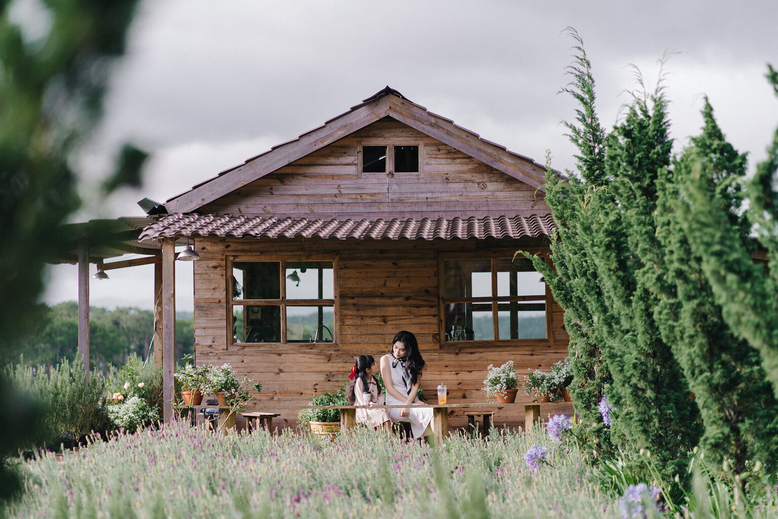 tiệm lavender túi thương nhớ đà lạt